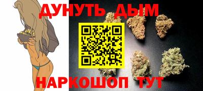стафф Будённовск