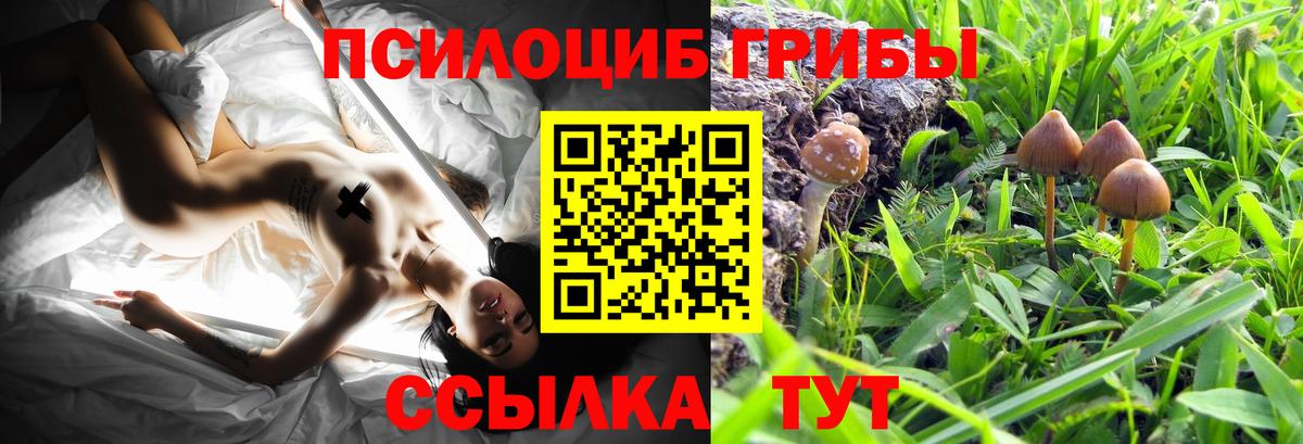 Галлюциногенные грибы MAGIC MUSHROOMS  Псилоцибиновые грибы GOLDEN TEACHER  Большой Камень  Вход с VPN 